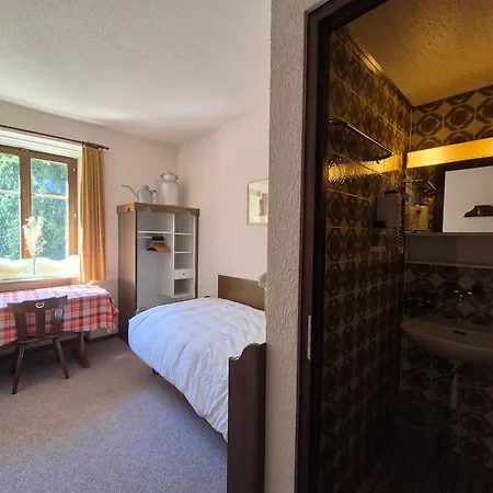 Loetschberg Zentrum Guest house