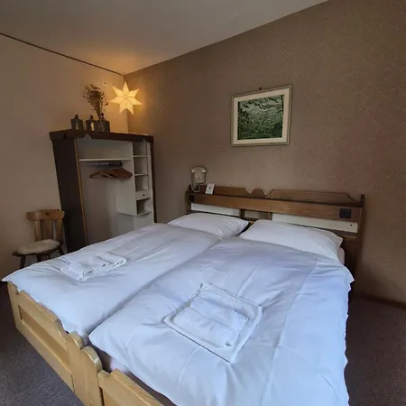 Guest house Loetschberg Zentrum Kippel