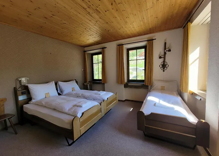 Loetschberg Zentrum 3* Kippel